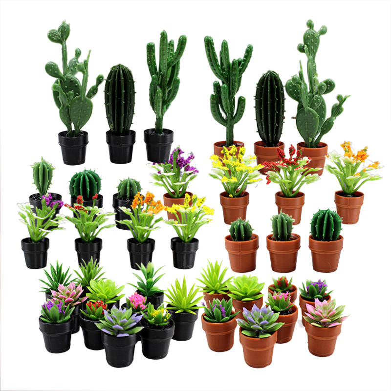 Echeveria Succulent - 8 plantes en pot miniatures en