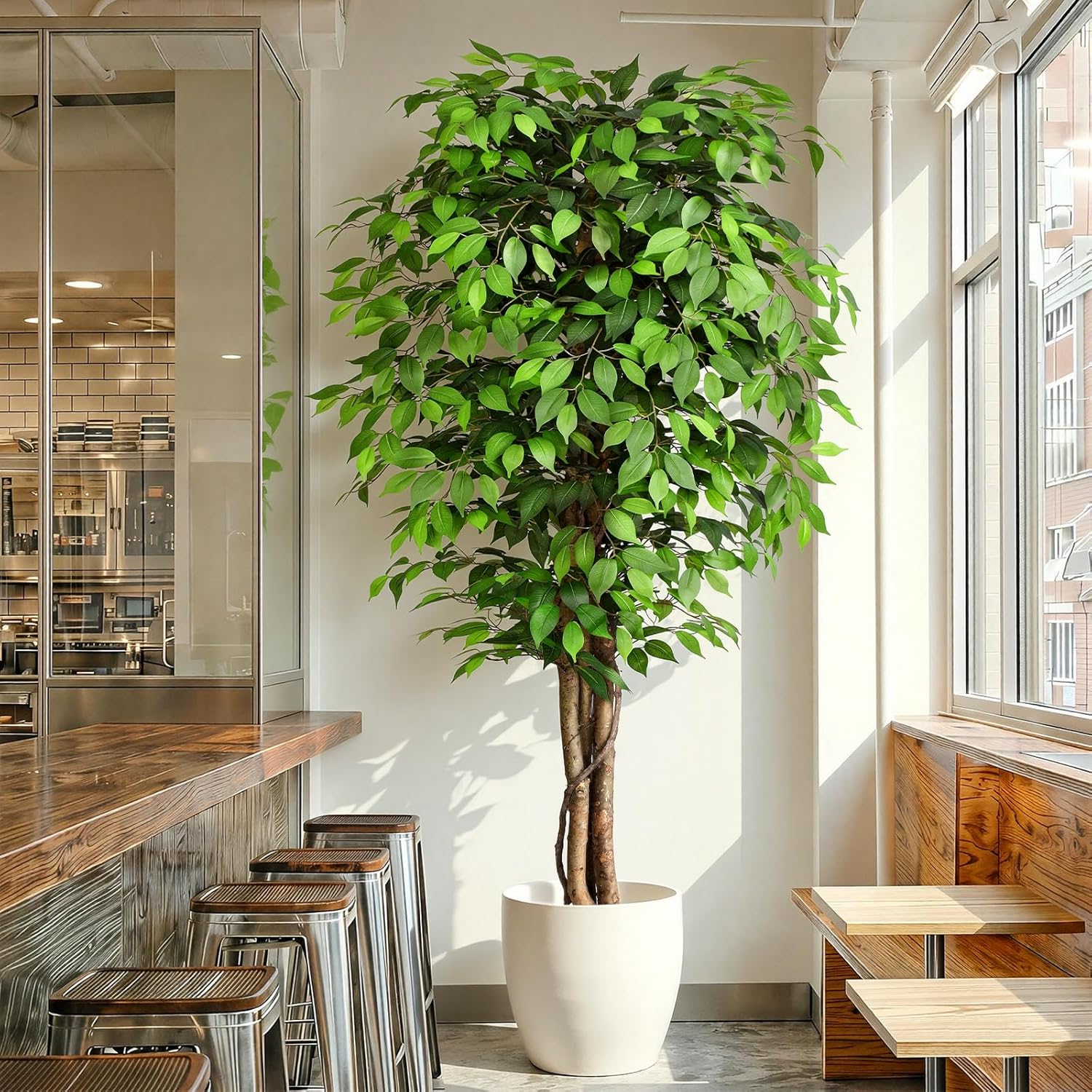 Arbre de ficus artificiel réal - Ficus Lyrata Tree avis et prix