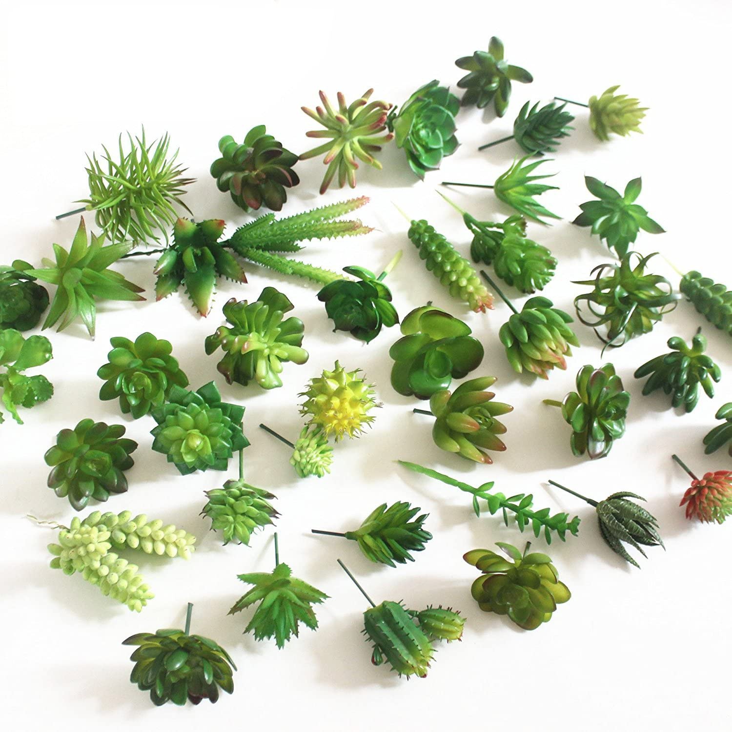 Plantes succulentes artificiel - Echeveria Succulent avis et prix