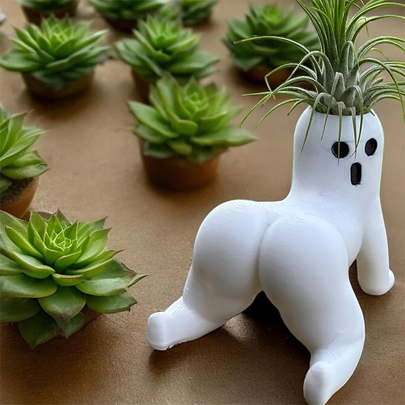 Jardinière fantôme de gros but - Echeveria Succulent avis et prix